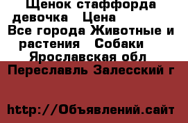 Щенок стаффорда девочка › Цена ­ 20 000 - Все города Животные и растения » Собаки   . Ярославская обл.,Переславль-Залесский г.